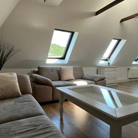 公寓 Saechsische-schweiz-ferienhaus-wohnung-1-mit-elbblick-sauna-und-kamin 柯尼希施泰因易北