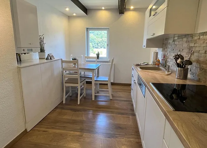 Saechsische-schweiz-ferienhaus-wohnung-1-mit-elbblick-sauna-und-kamin